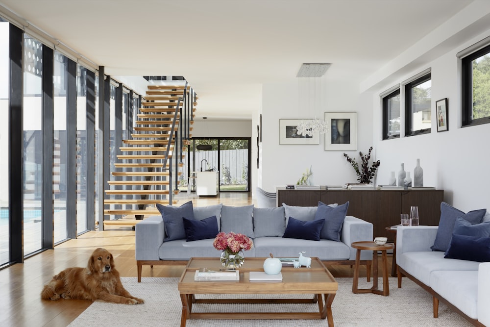 A finished David Reid Homes interior, ready to show clients